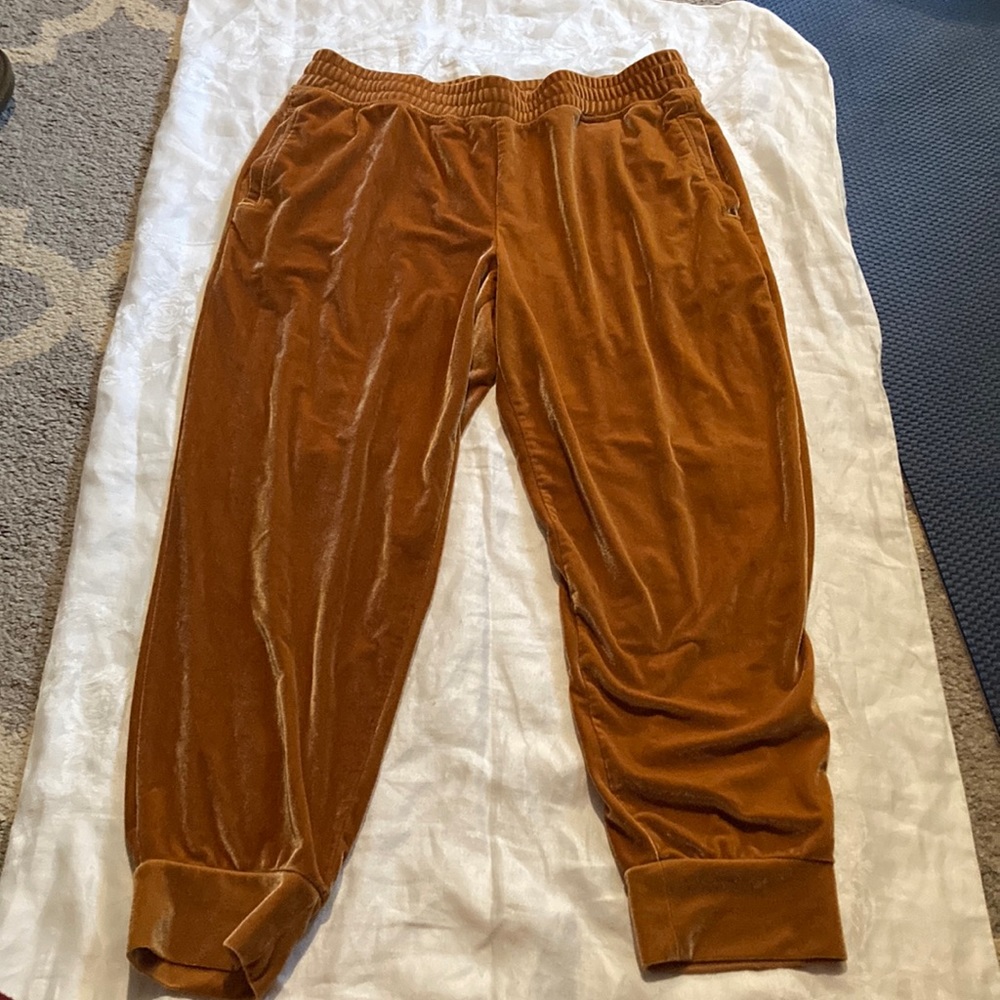 Fabletics velvet pants size large joggers color is light honey